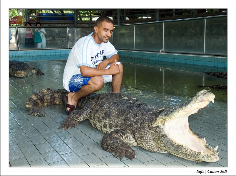 2006 - 08 - Pattaya - Crocodile farm - Karym 02